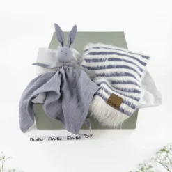 PresentSet med Presentbox - Berry Blue